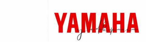 YAMAHA YEDEK PARÇA